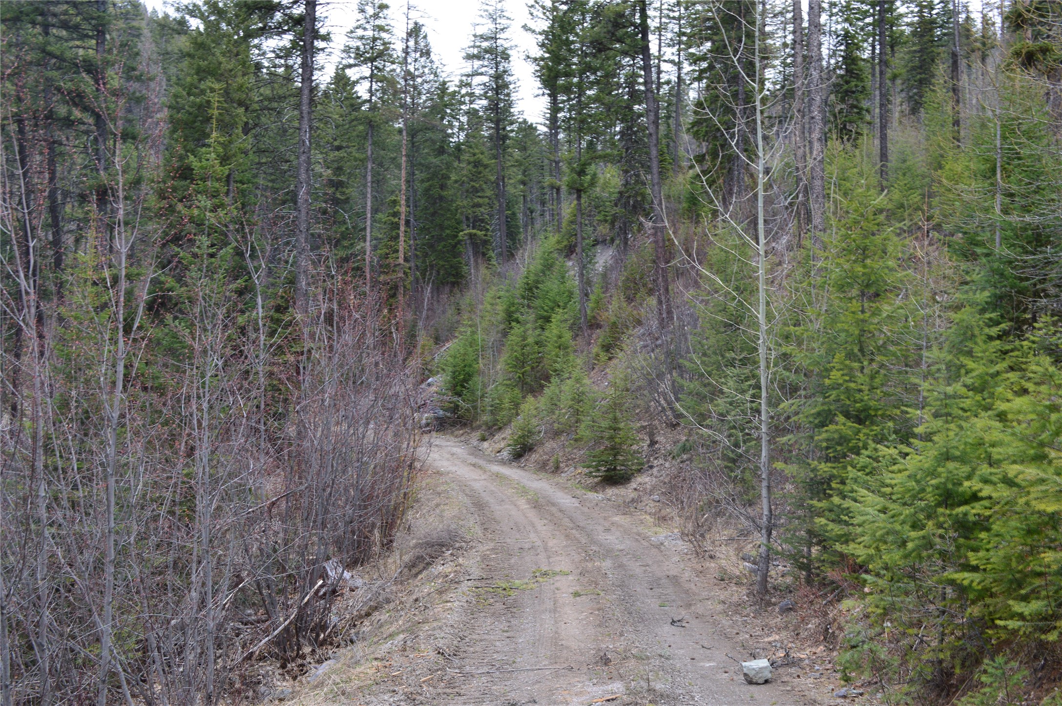 NHN E Lakeshore Drive