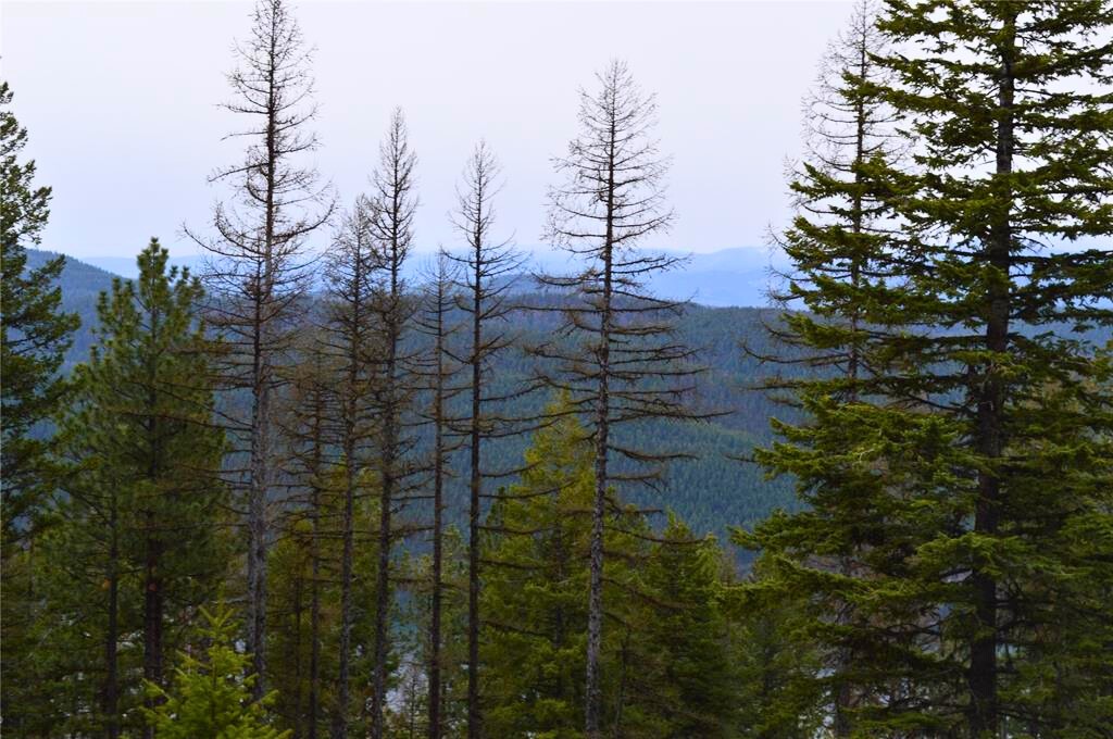 NHN E Lakeshore Drive