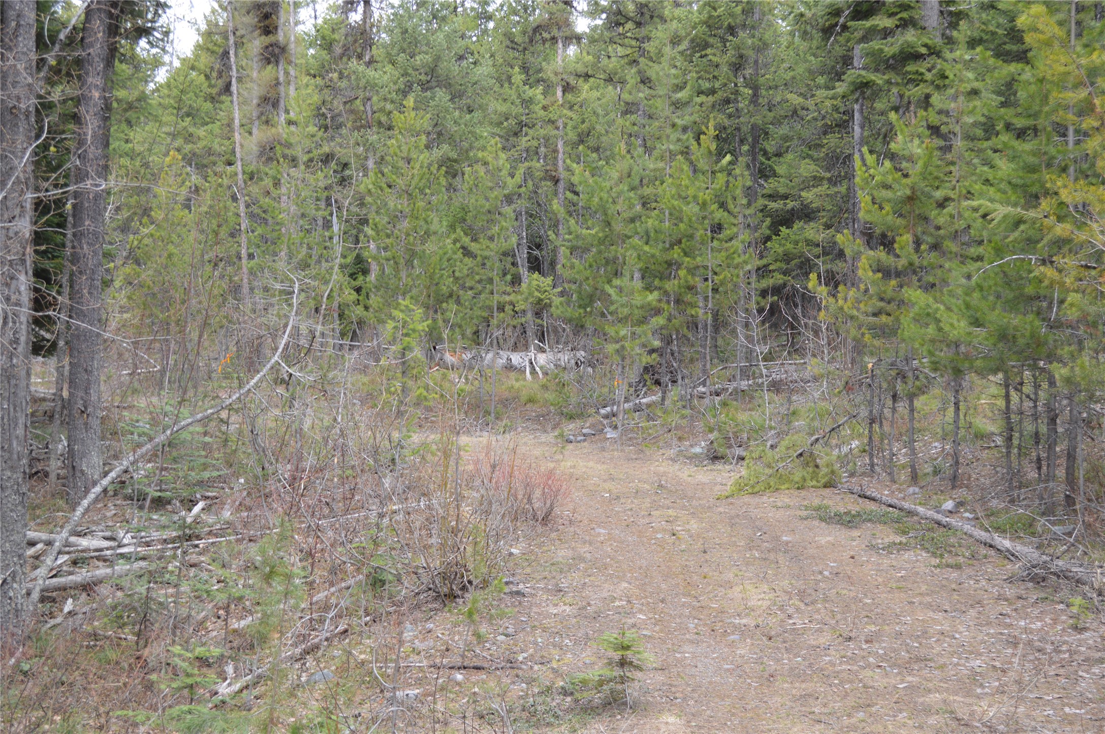 NHN E Lakeshore Drive