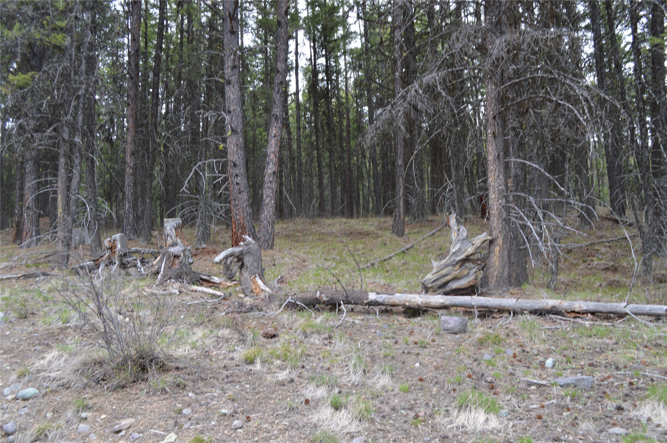 NHN E Lakeshore Drive