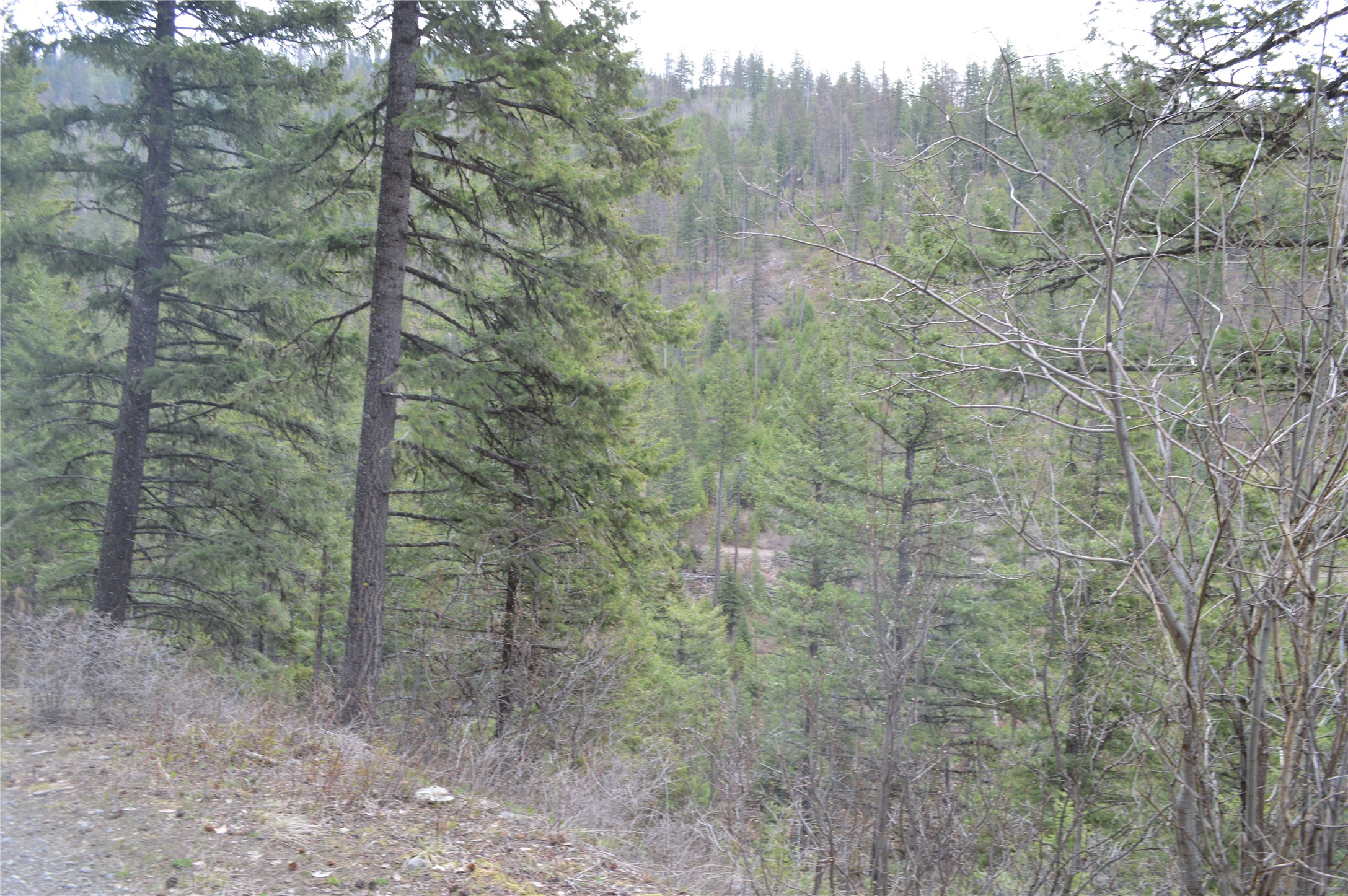 NHN E Lakeshore Drive