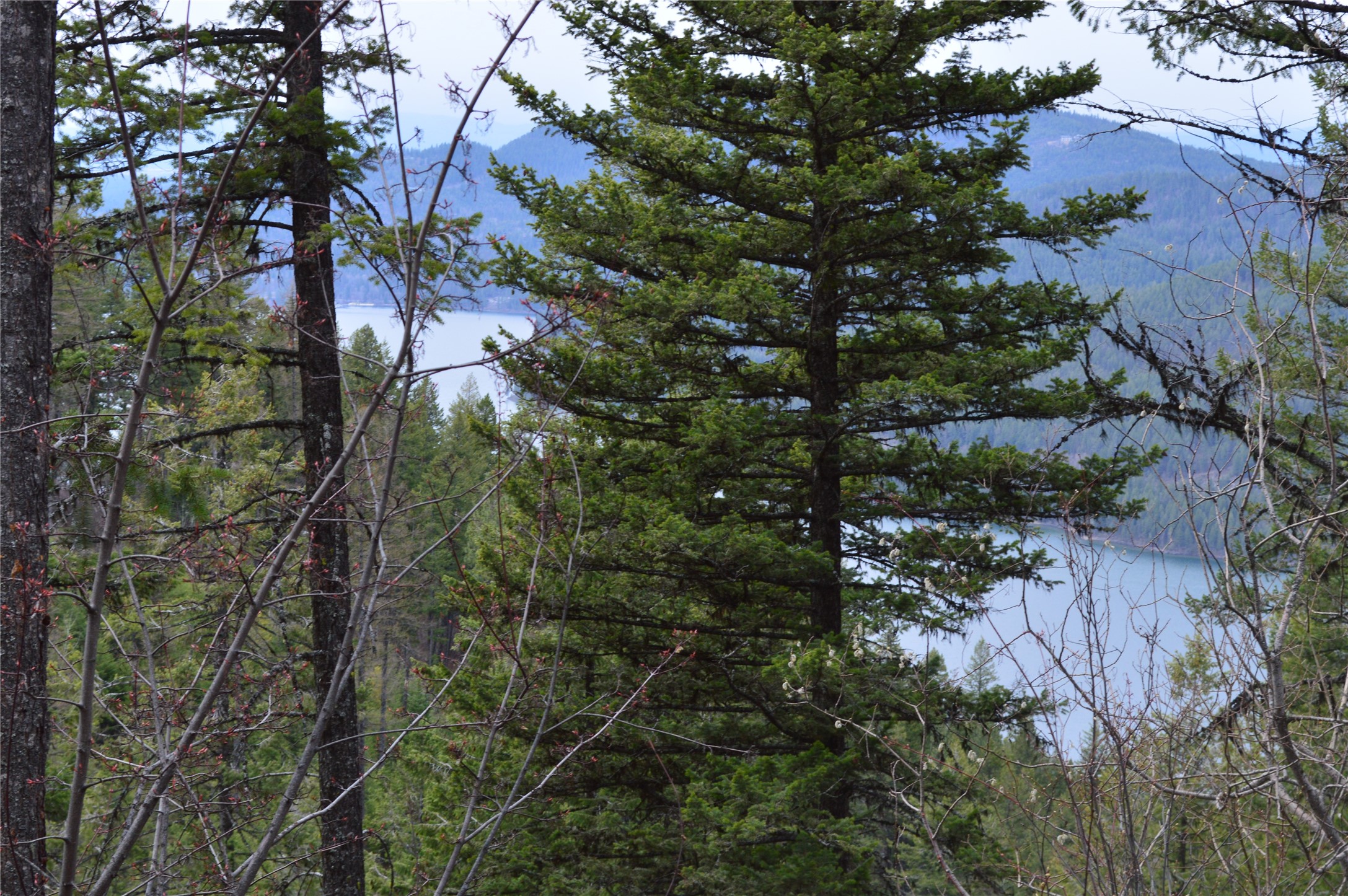 NHN E Lakeshore Drive