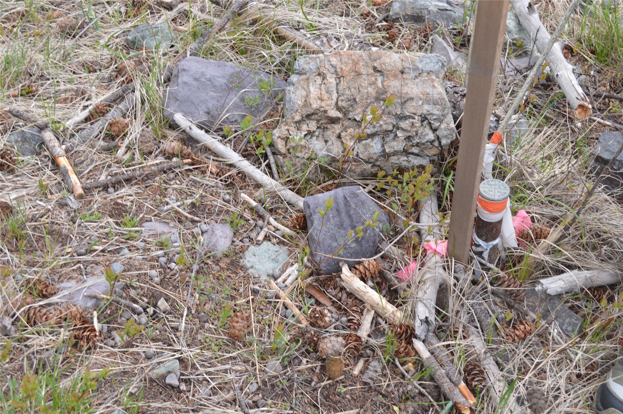 NHN E Lakeshore Drive