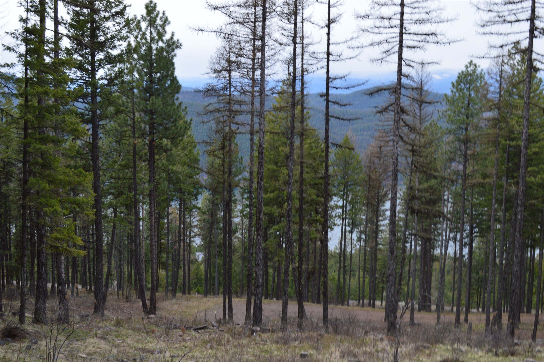 NHN E Lakeshore Drive