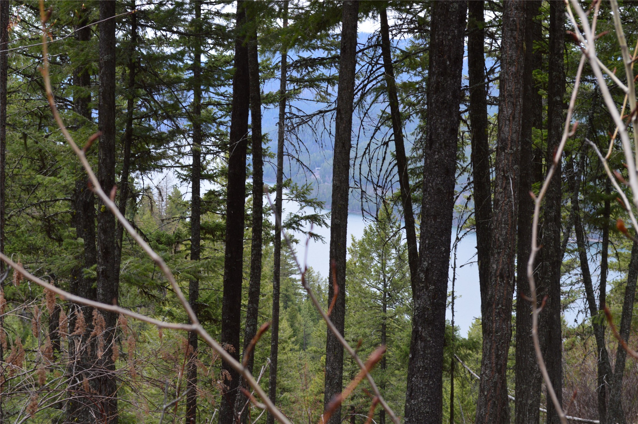 NHN E Lakeshore Drive