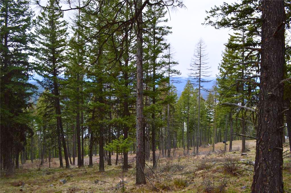 NHN E Lakeshore Drive