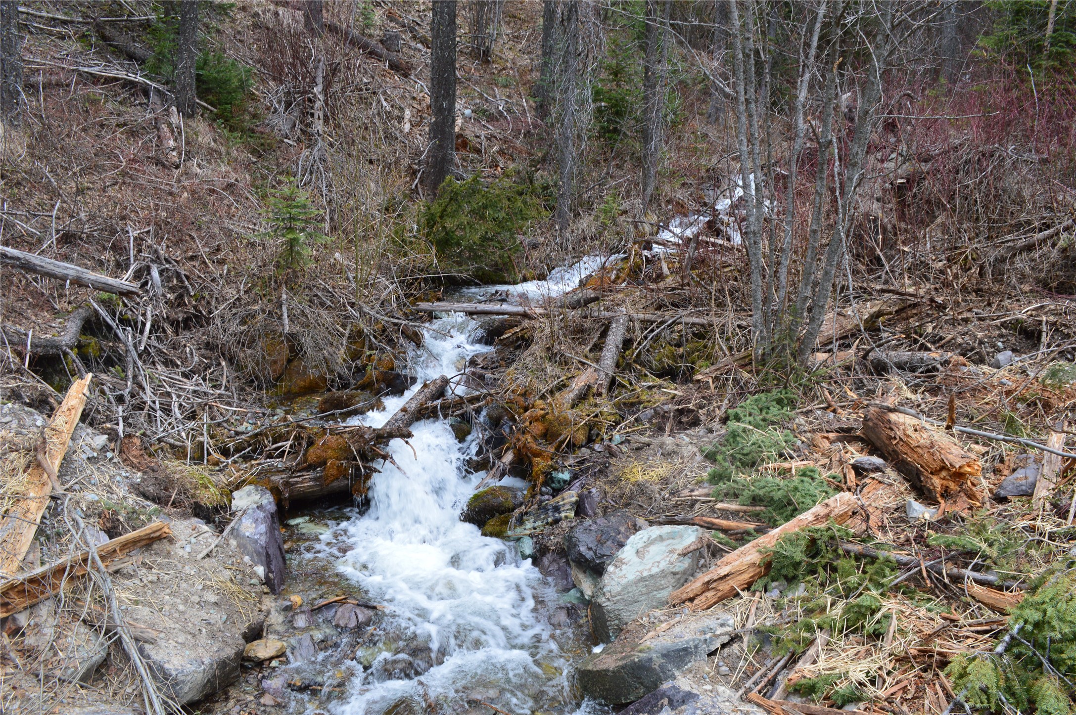 NHN E Lakeshore Drive