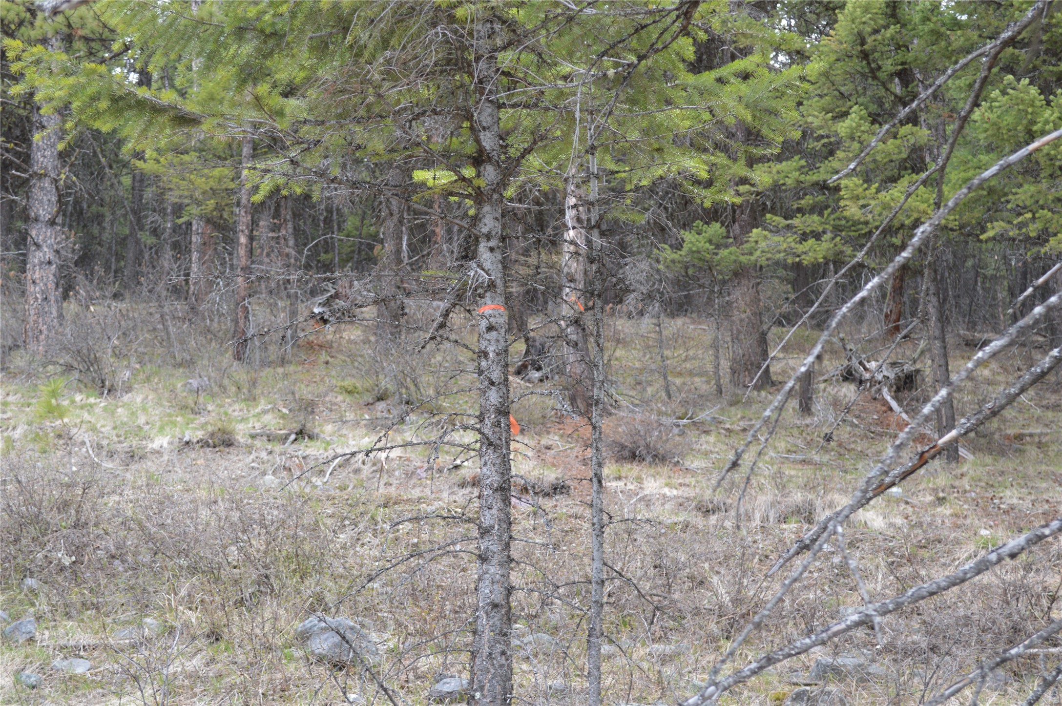 NHN E Lakeshore Drive