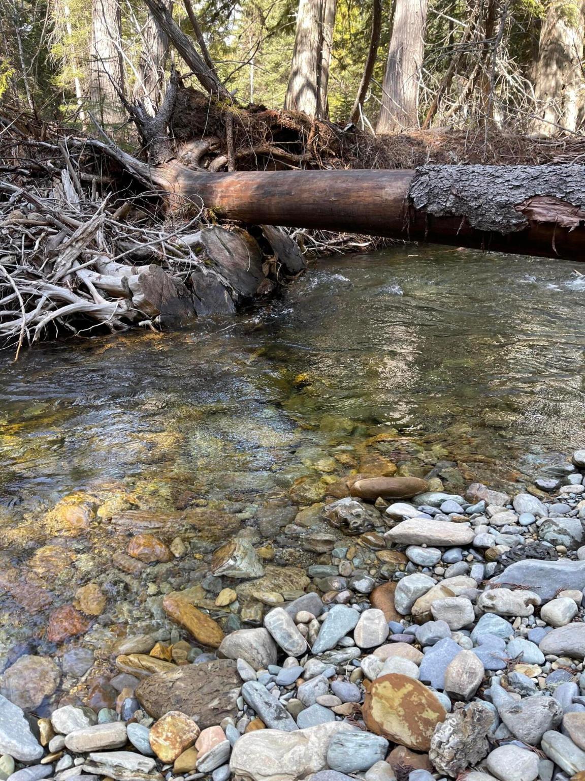 1770 Piper Creek Road