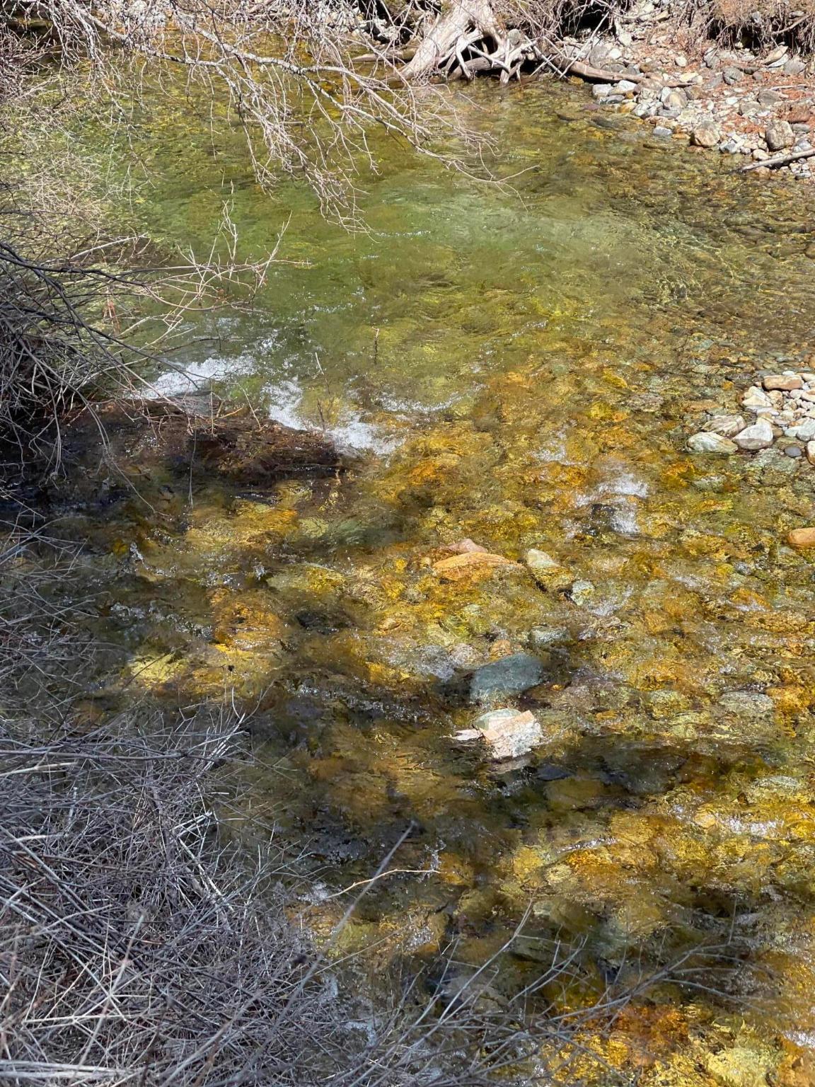 1770 Piper Creek Road