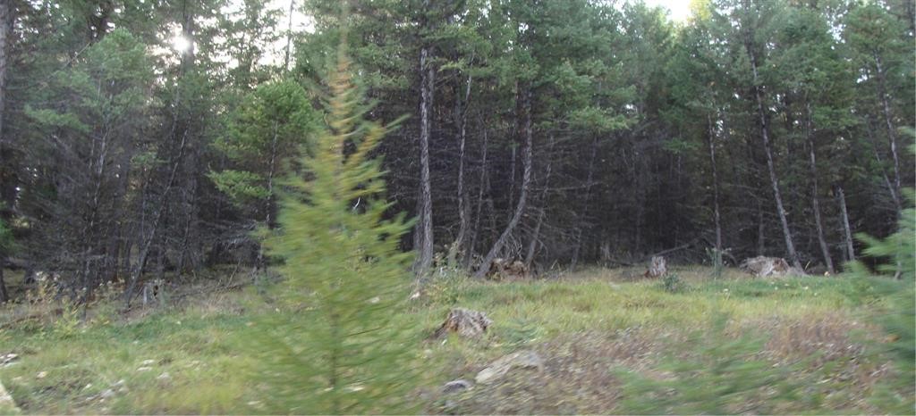 Lot 7 Whispering Pines Subdivision