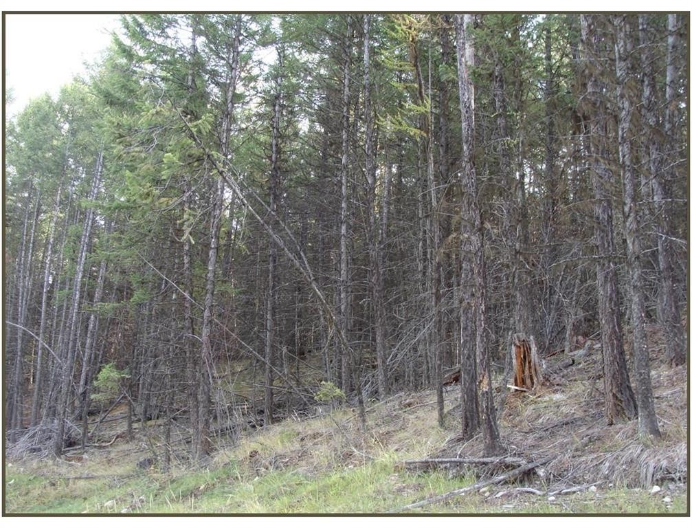 Lot 7 Whispering Pines Subdivision