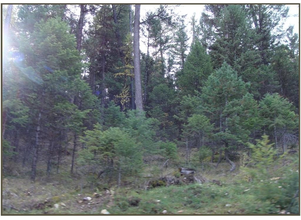Lot 7 Whispering Pines Subdivision