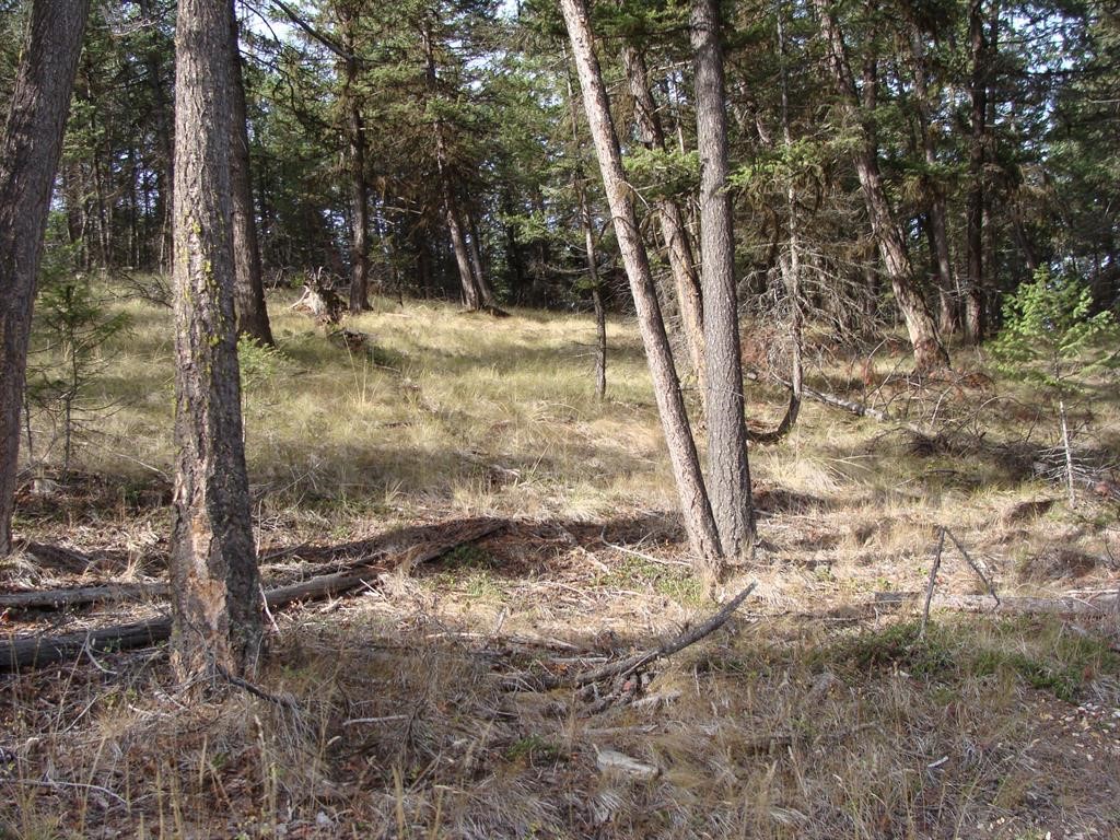 Lot 8 Whispering Pines Subdivision