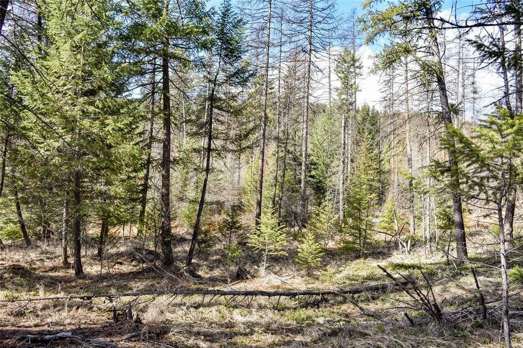 Lot 2 Meadow Springs Subdivision