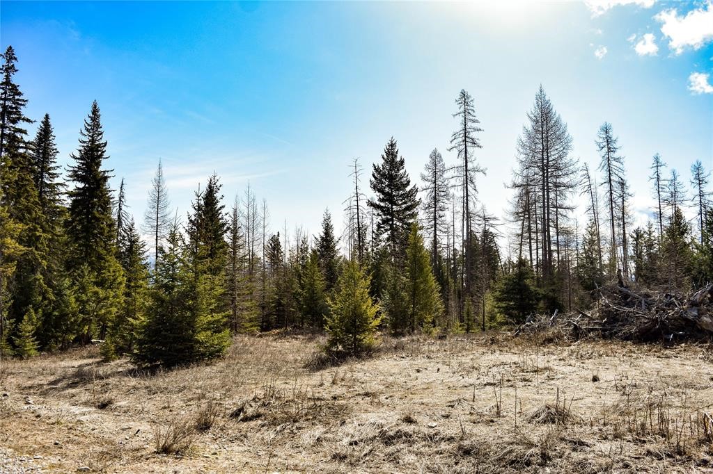 Lot 2 Meadow Springs Subdivision
