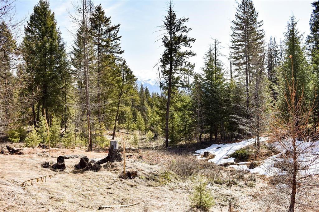 Lot 2 Meadow Springs Subdivision
