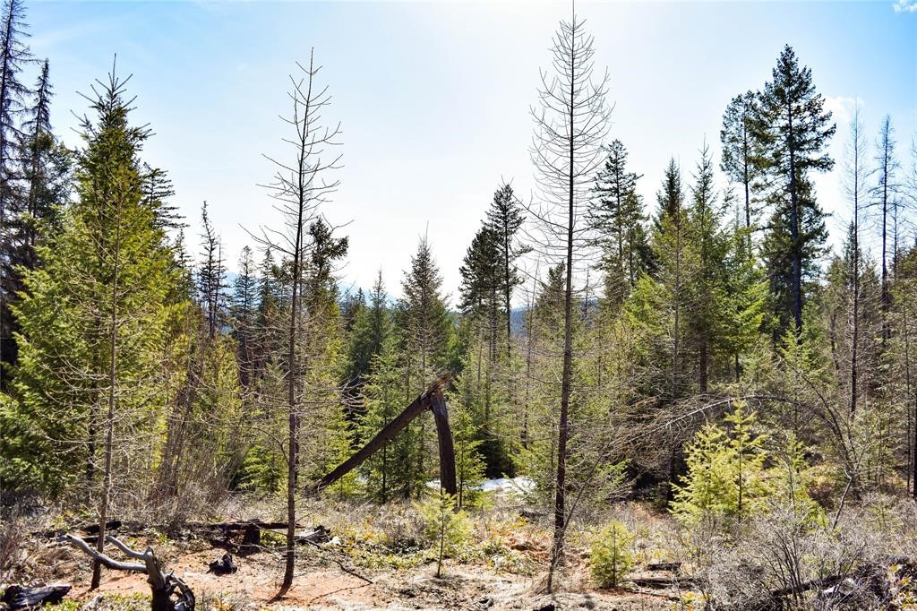 Lot 2 Meadow Springs Subdivision