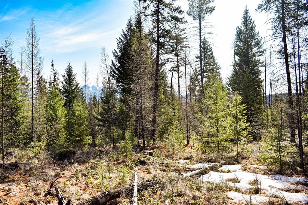 Lot 2 Meadow Springs Subdivision