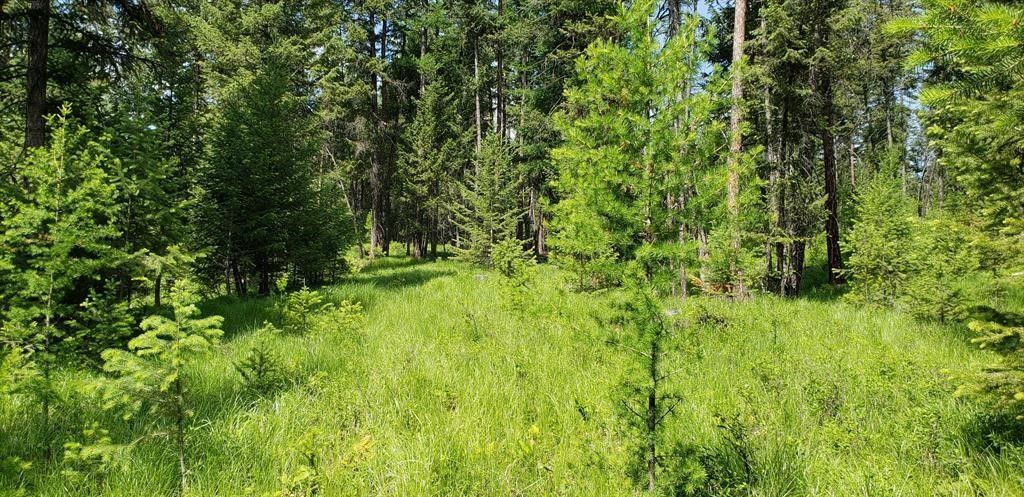 Lot 2 Meadow Springs Subdivision
