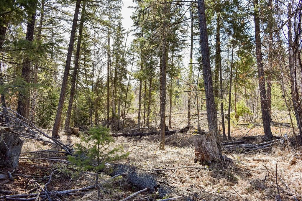 Lot 2 Meadow Springs Subdivision