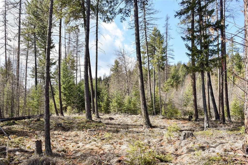 Lot 2 Meadow Springs Subdivision