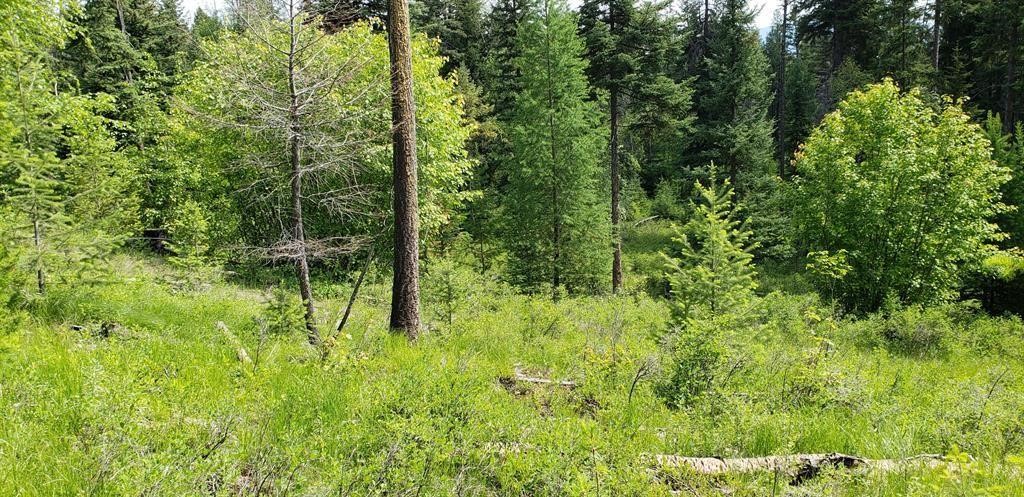 Lot 2 Meadow Springs Subdivision