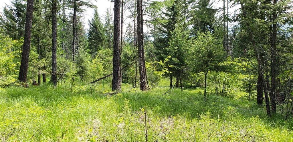 Lot 2 Meadow Springs Subdivision
