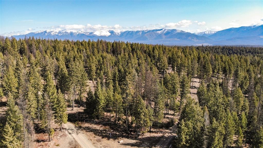 Lot 1B Meadow Springs