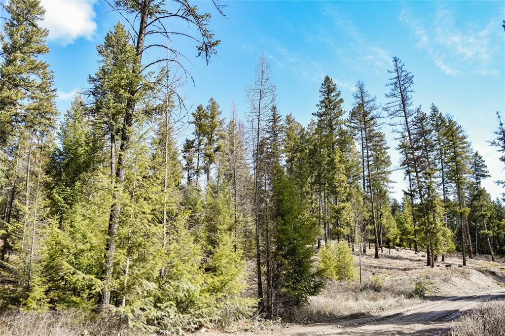 Lot 1B Meadow Springs