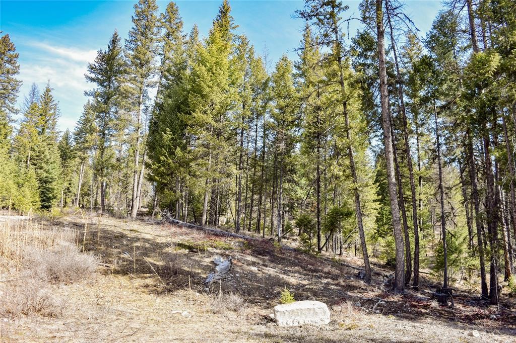 Lot 1B Meadow Springs
