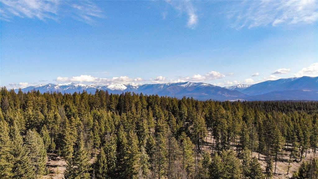 Lot 1B Meadow Springs
