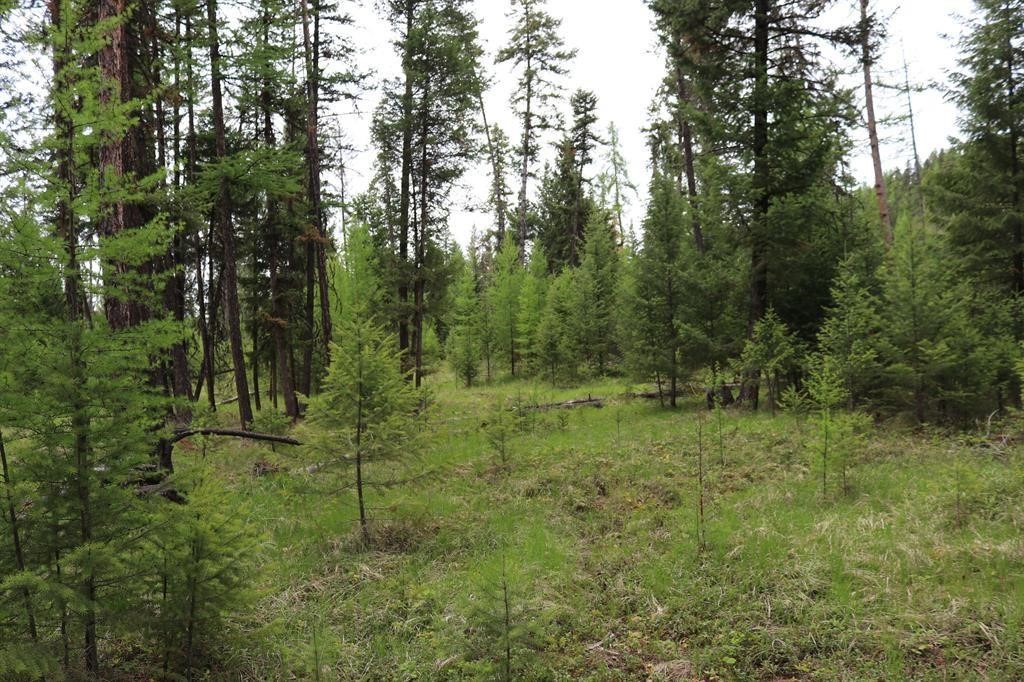 Lot 1A Meadow Springs