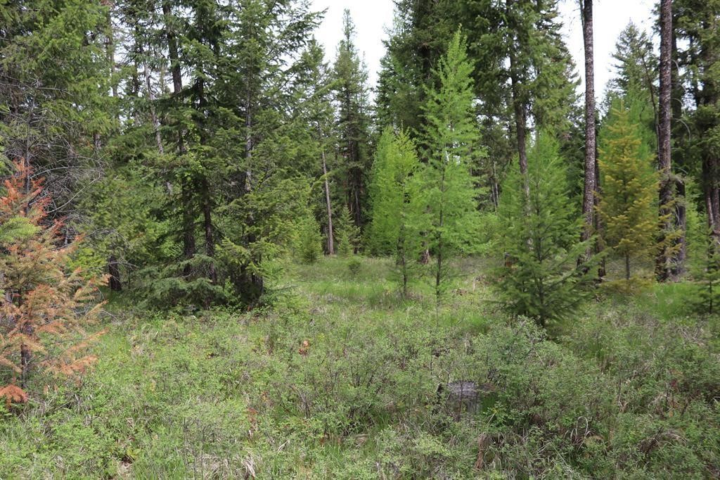 Lot 1A Meadow Springs