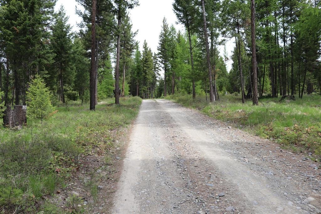 Lot 1A Meadow Springs