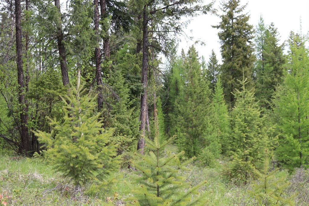 Lot 1A Meadow Springs