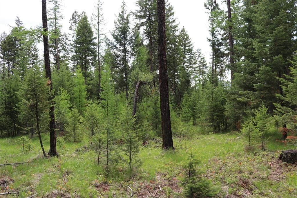 Lot 1A Meadow Springs