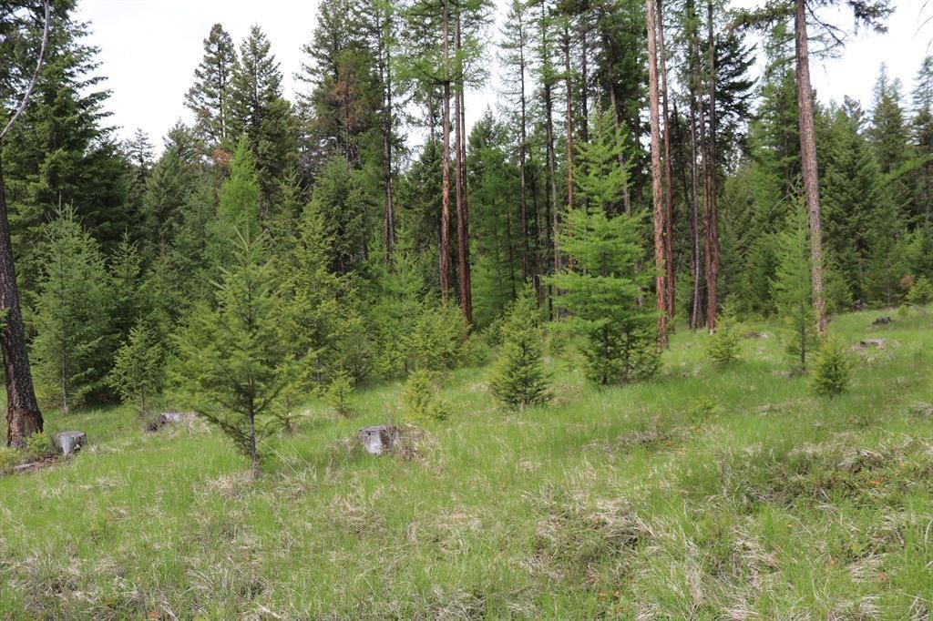 Lot 1A Meadow Springs