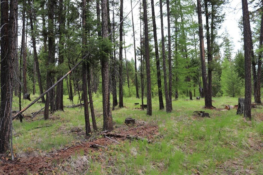 Lot 1A Meadow Springs