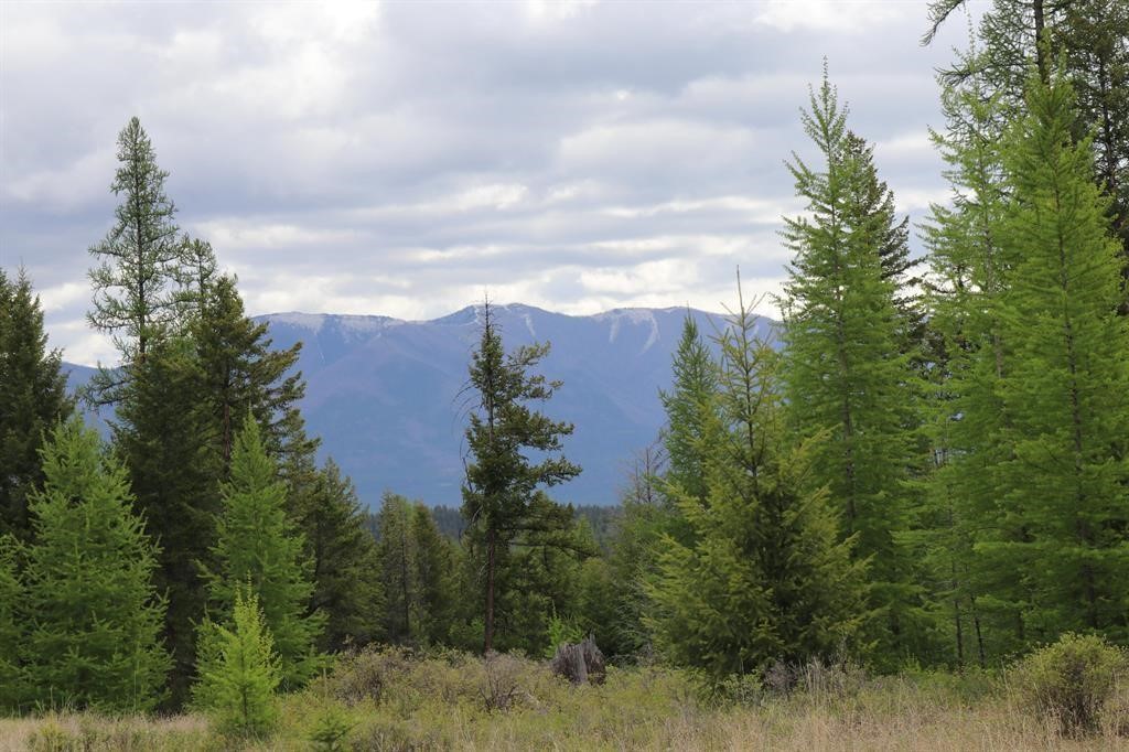 Lot 1A Meadow Springs