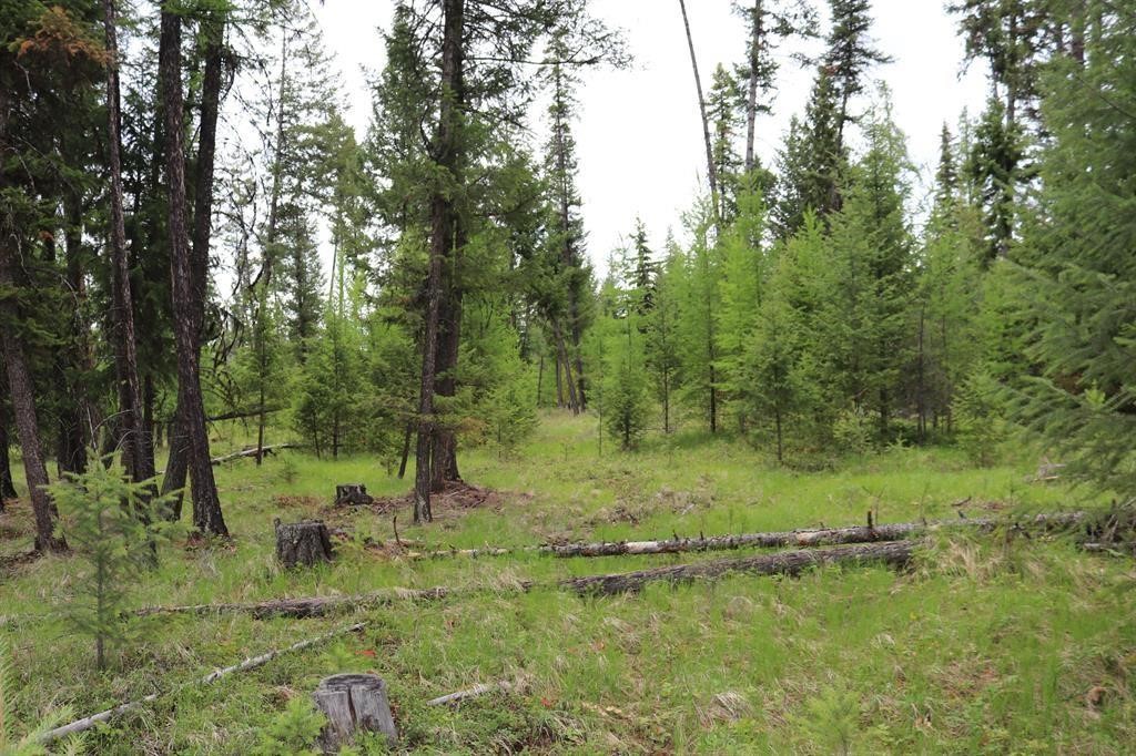 Lot 1A Meadow Springs