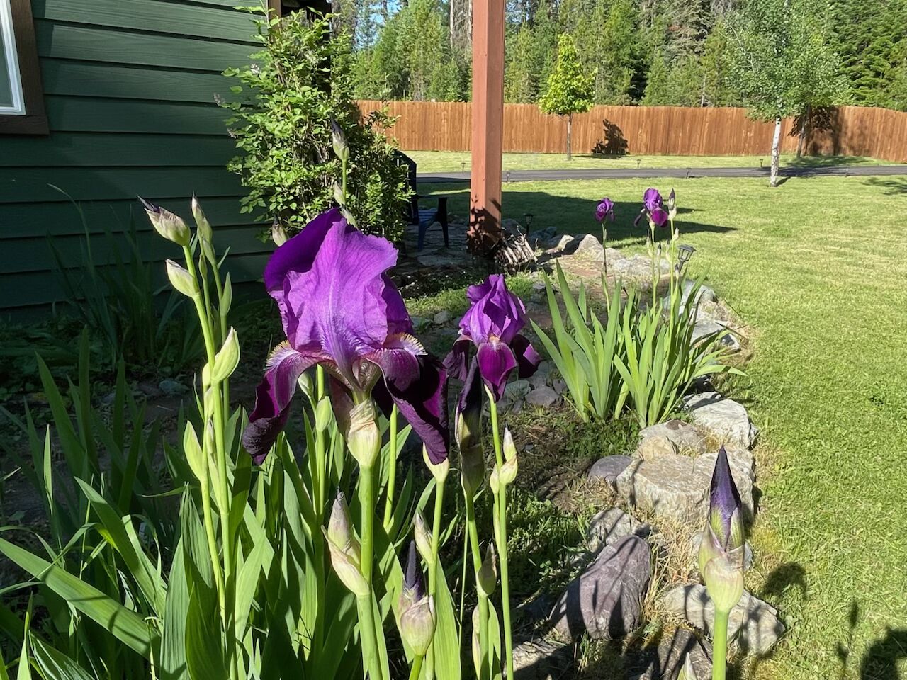 2075 Lion Mountain Loop Road