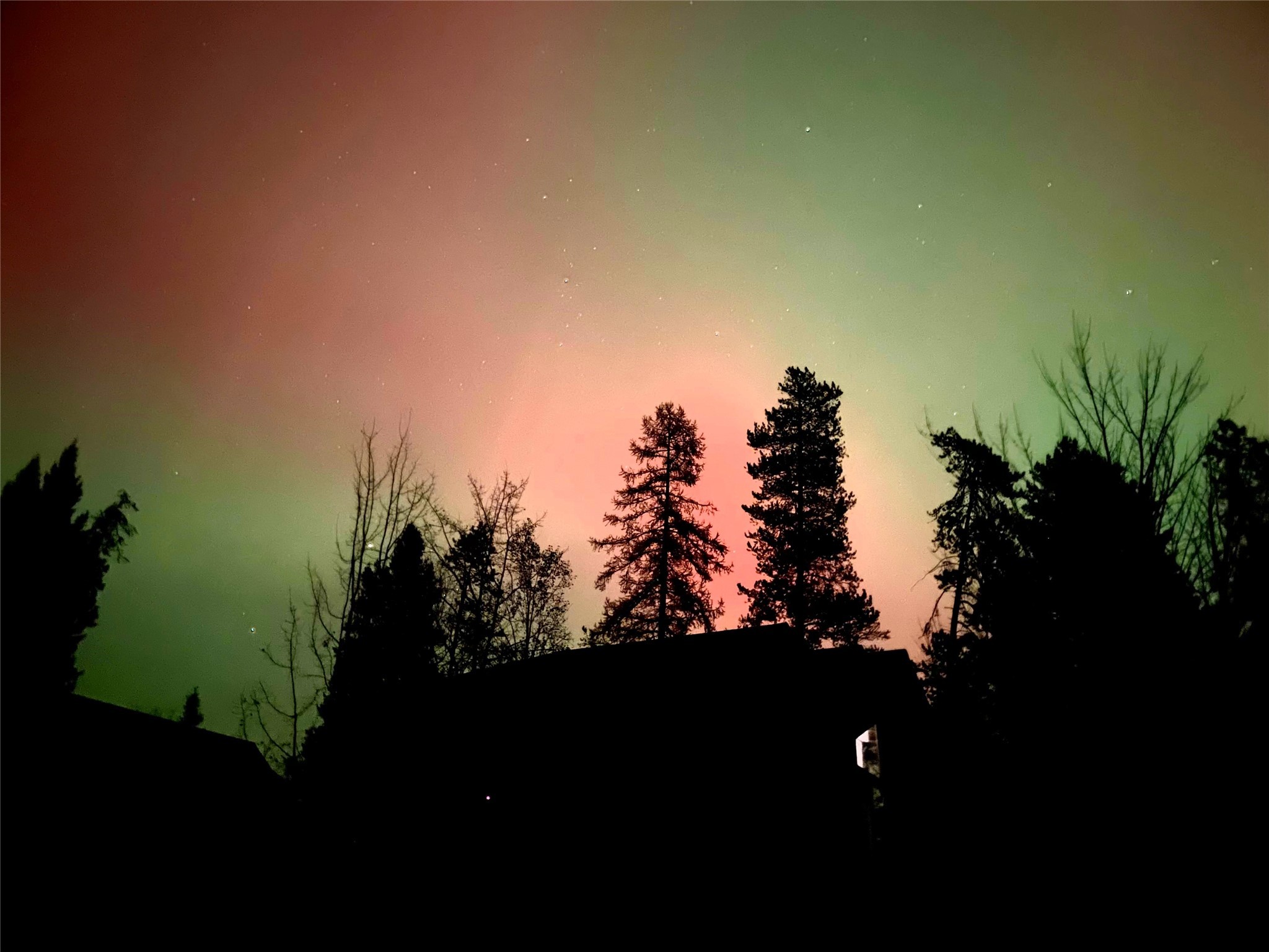 2075 Lion Mountain Loop Road