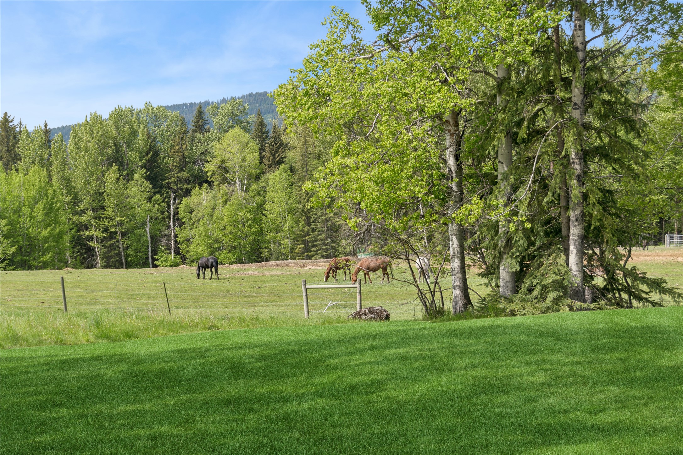 379 Rick O Shay Road