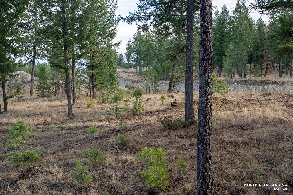 Lot 26 Origin Lane, North Star Landing