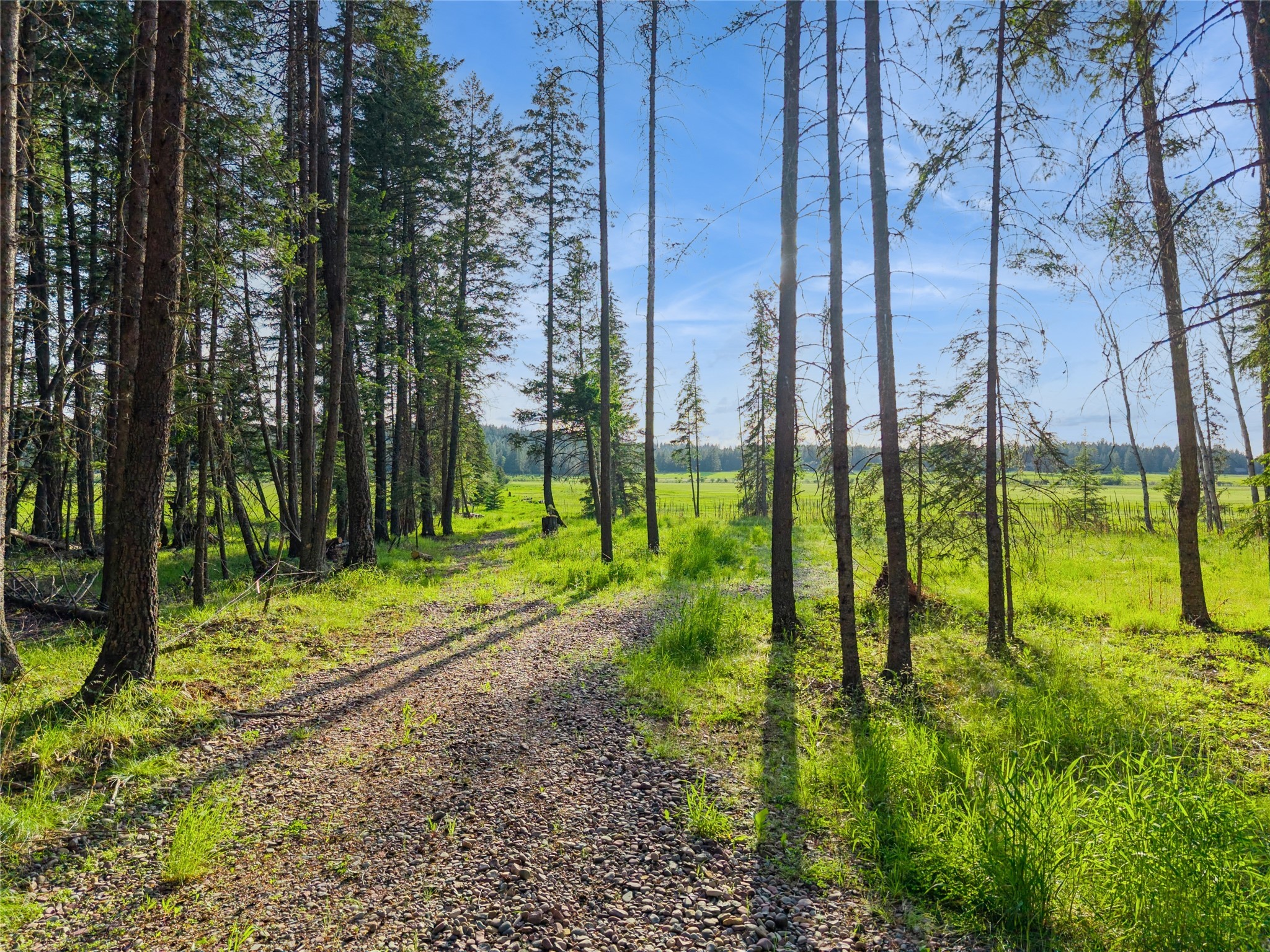 1350 Mooring Meadow Drive