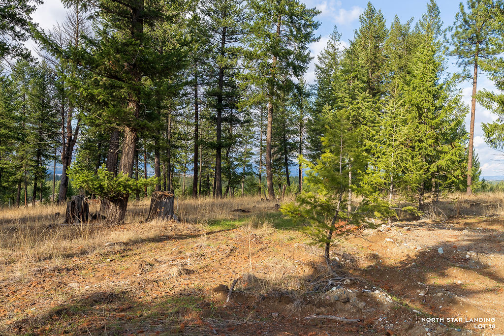 Lot 18 Lake Heights, North Star Landing