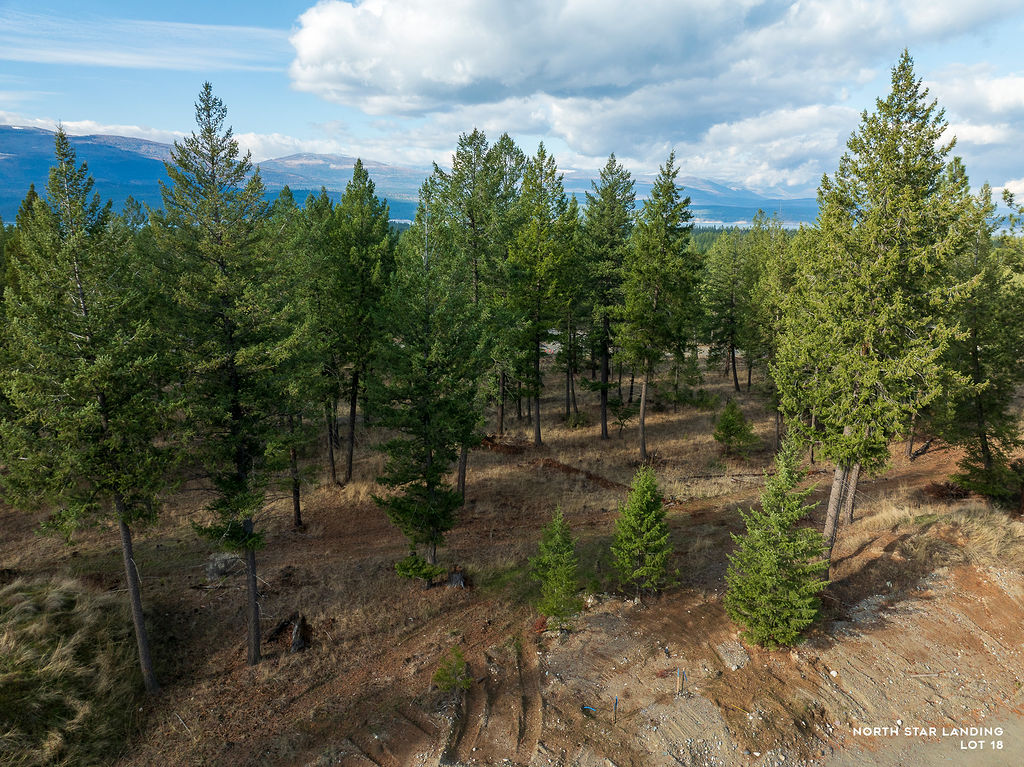 Lot 18 Lake Heights, North Star Landing