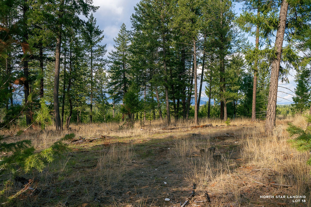 Lot 18 Lake Heights, North Star Landing