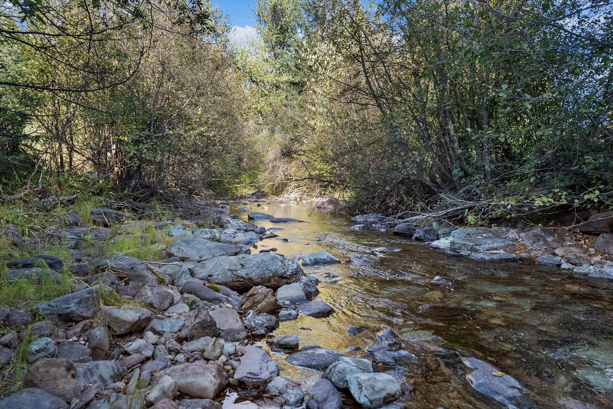 198 Tamarack Lane